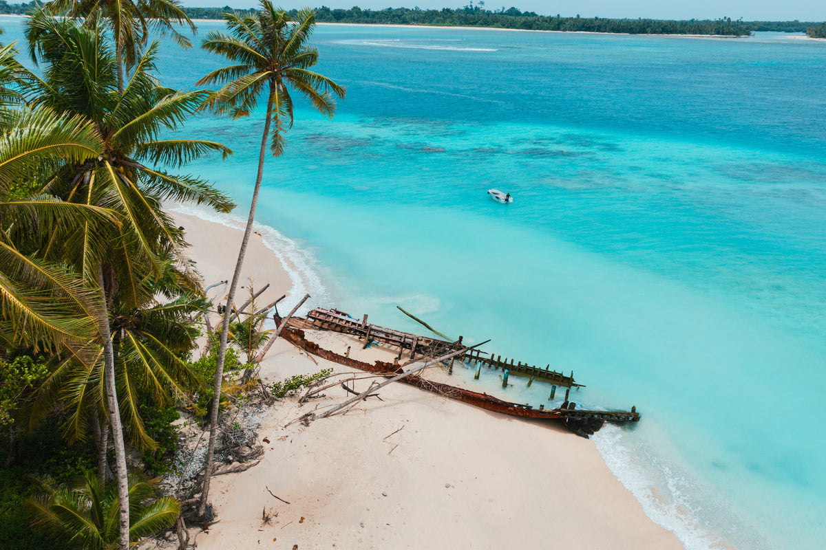 Palm foreground, boat in the lagoon