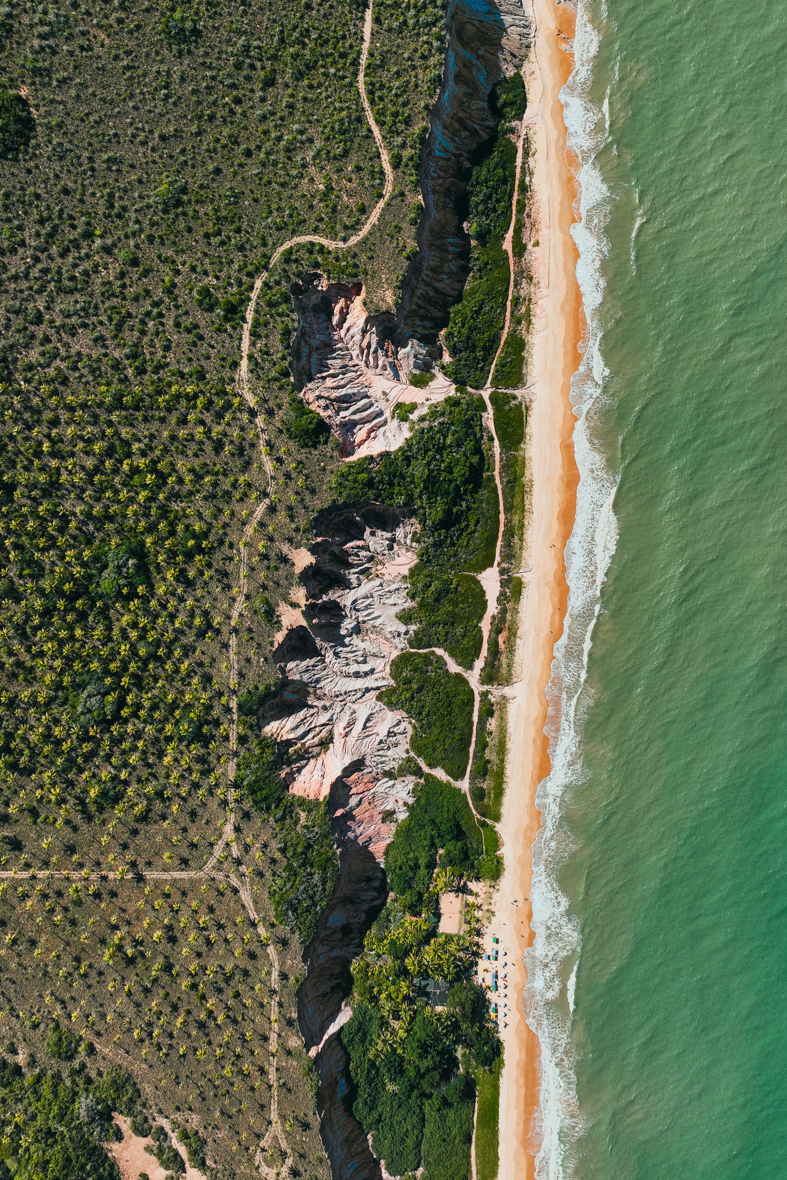 An aerial vertical shot showing the meeting of a turquoise ocean, a thin sandy beach, and dramatic red cliffs bordering a palm plantation.