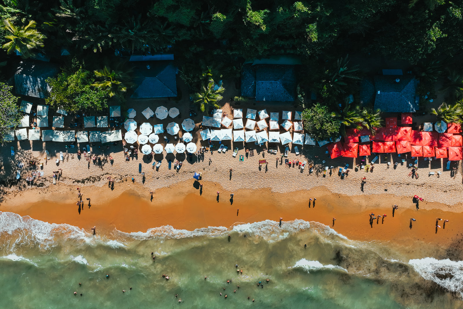 An overhead drone shot of a tropical beach in Brazil featuring rows of white and red umbrellas on the golden sand with turquoise waves.