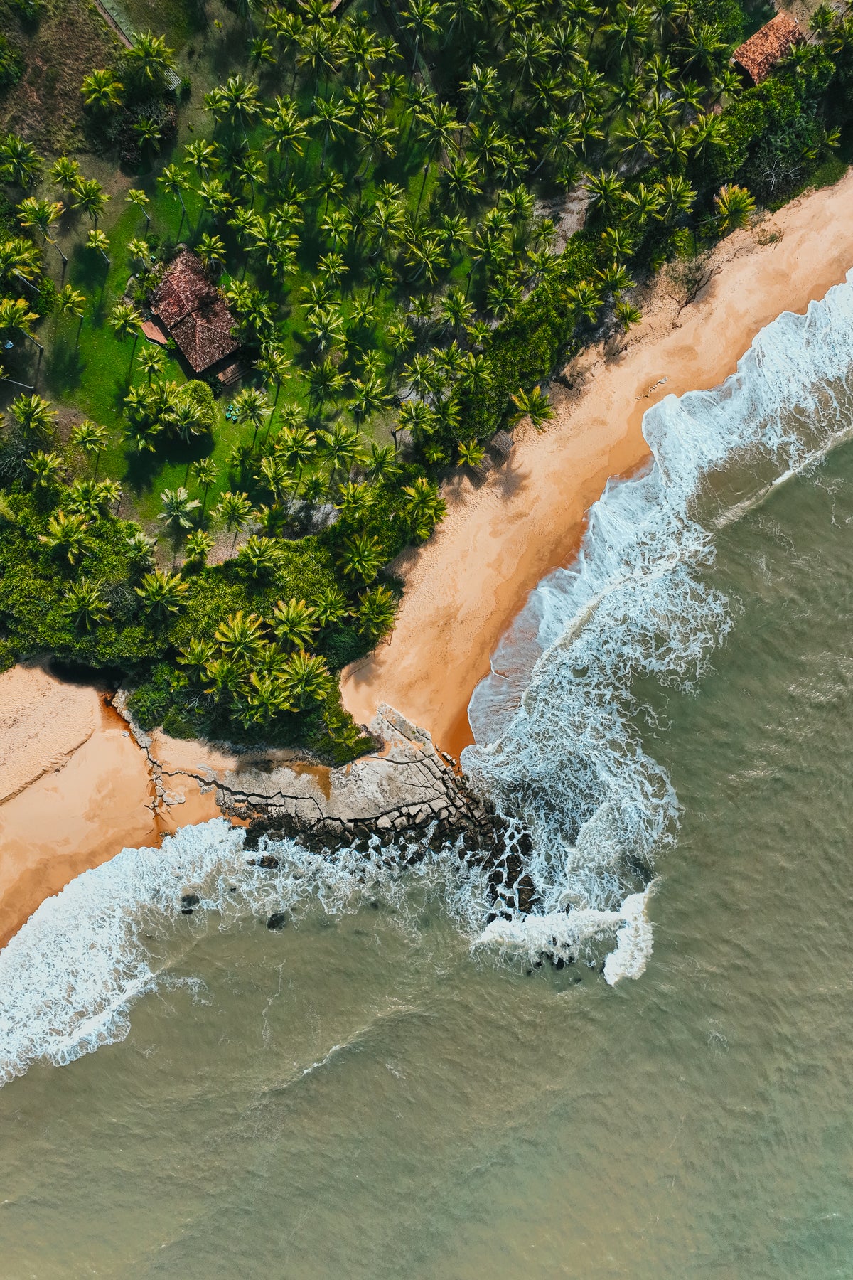 High-angle aerial view of a tropical beach in Brazil featuring lush palm trees, a small house, and waves crashing on the shore.