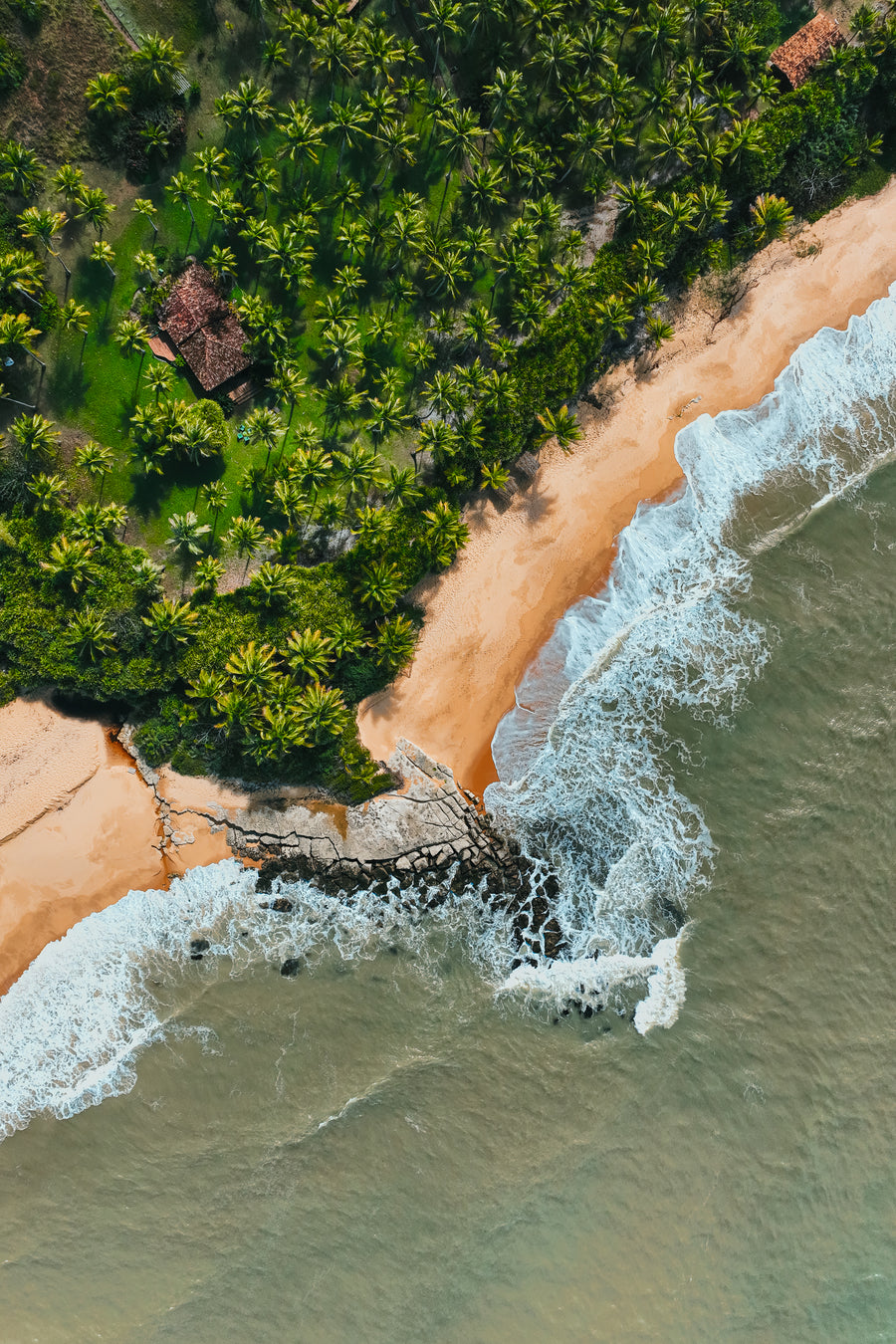 High-angle aerial view of a tropical beach in Brazil featuring lush palm trees, a small house, and waves crashing on the shore.