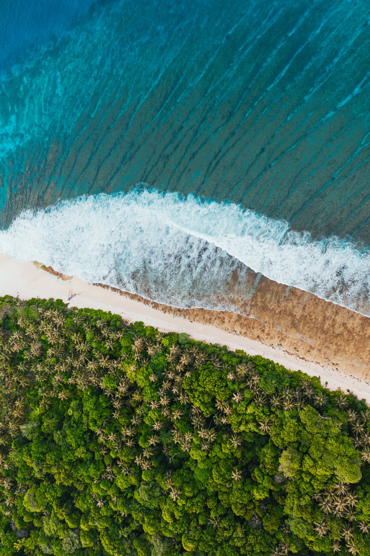 An aerial view of a tropical shoreline where lush green palm trees meet a white sand beach and turquoise reef waves.