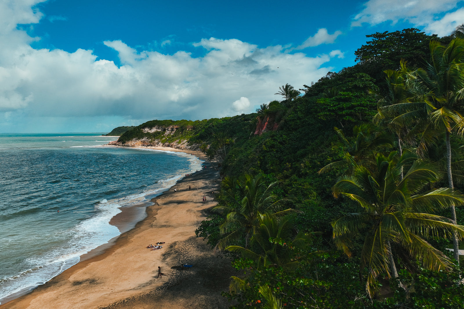 A high-angle view of a sandy tropical beach in Brazil lined with lush green palm trees and tall cliffs under a blue sky.