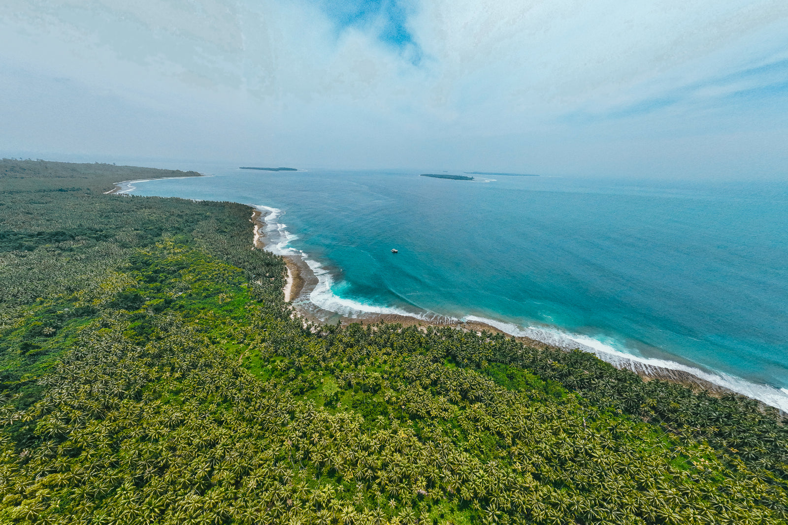 Aerial view of a dense palm tree forest bordering a turquoise coastline and the deep blue ocean in the Mentawai Islands, Indonesia.