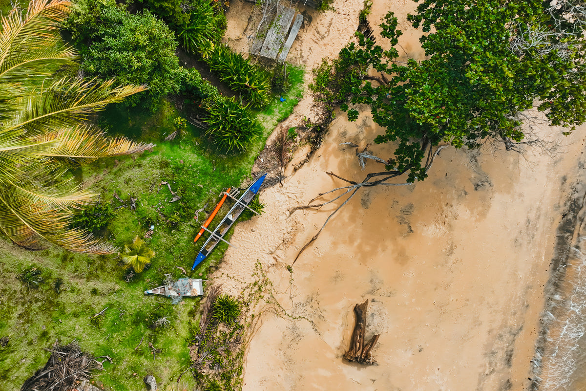 Top-down aerial view of a blue outrigger canoe resting on a sandy beach next to lush green palm trees in Brazil.