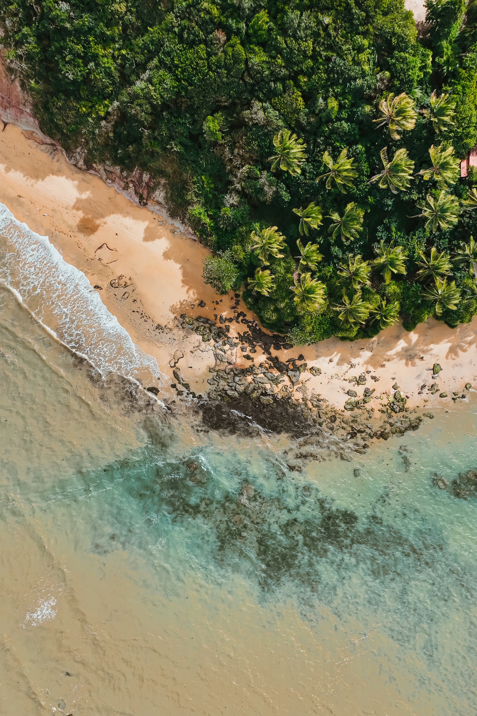 High angle aerial view of a tropical Brazilian beach where lush palm trees meet golden sand and turquoise ocean waves.