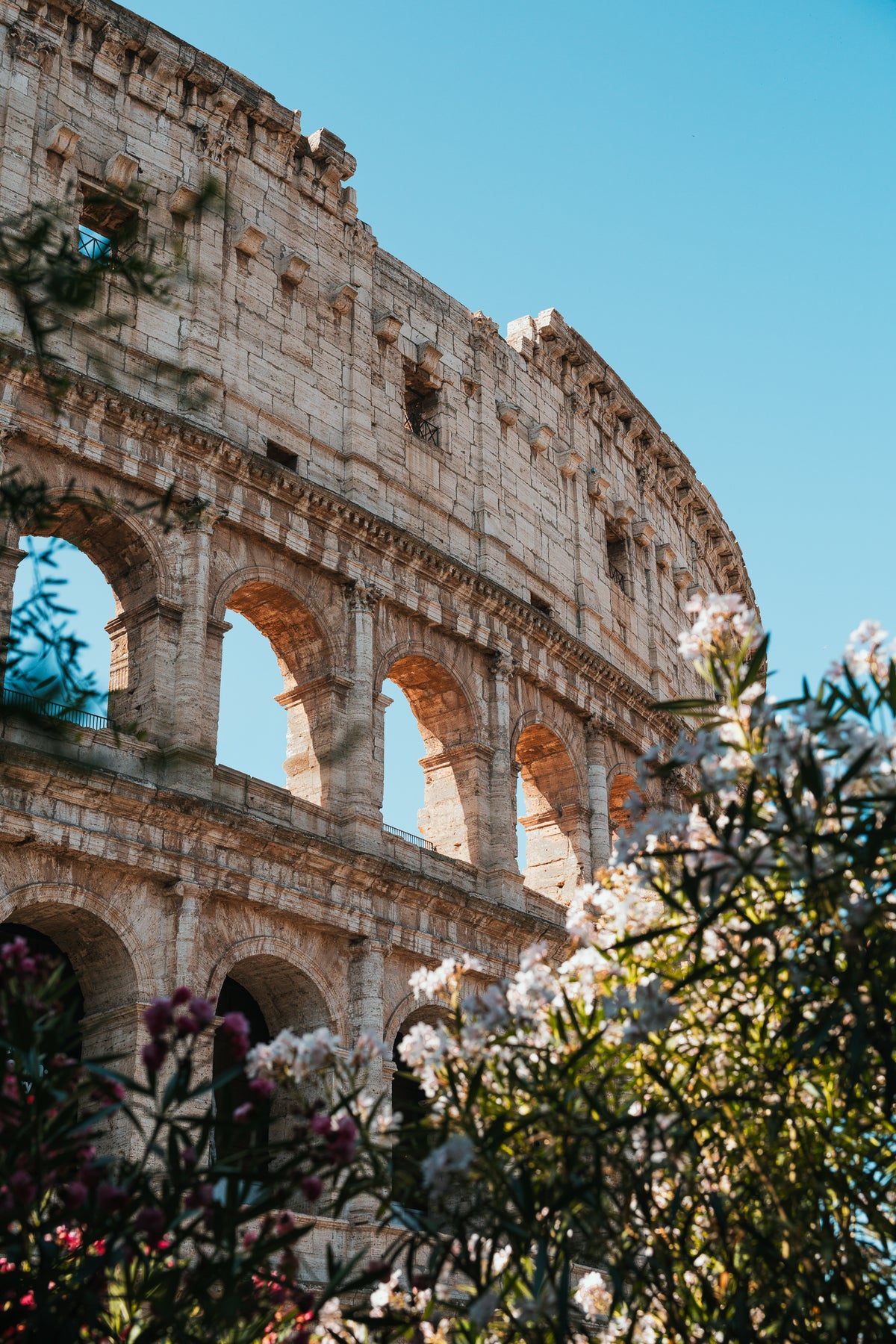 A vertical shot of the ancient stone arches of the Roman Colosseum viewed through white and pink flowers under a clear blue sky.