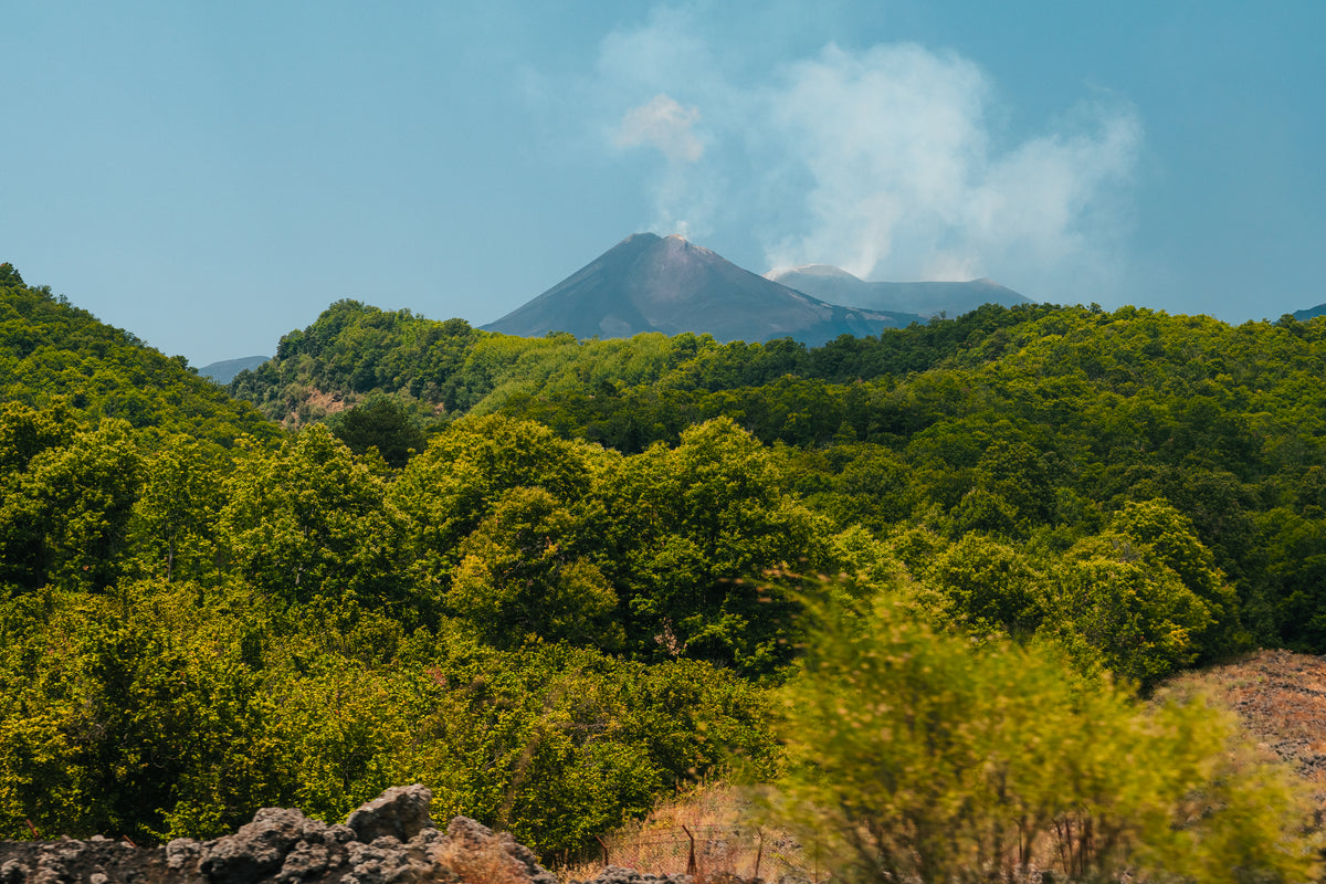 A view of Mount Etna emitting white smoke behind a dense green forest under a clear blue sky in Sicily, Italy.