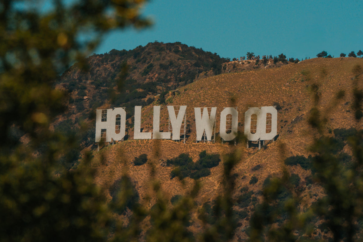 The white letters of the Hollywood sign stand on a dry brown hillside under a clear blue sky, framed by blurred green leaves.